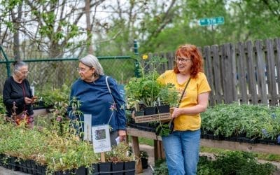 Replanting After the Storm: Why Fall is the Perfect Time for Tree Replacement