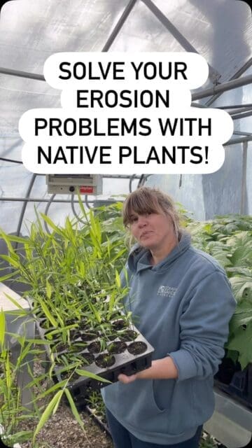 Got a spot that keeps washing out? 

This is one of the easiest native fixes. We’ll have erosion control trays available at the Native Tree & Plant Sale so you can tackle bigger areas all at once.

📍407 NE B Street, Bentonville, AR
🗓️ April 13-17th