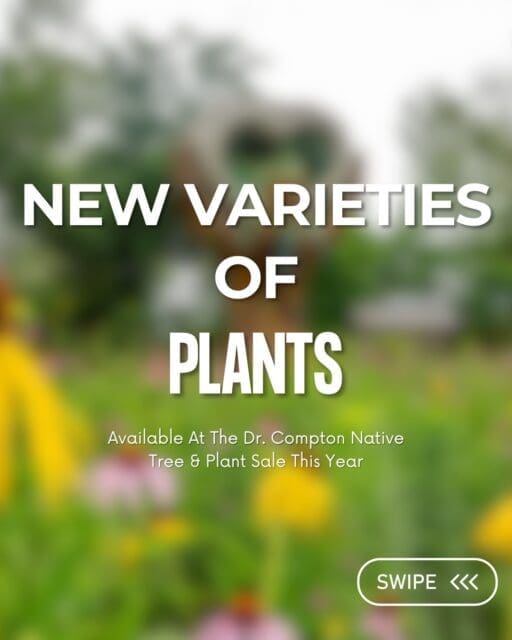 We have quite a few new varieties available at this year’s Spring Native Tree & Plant Sale!

Swipe to see a few of the new additions. To view the full plant list and explore all of this year’s new varieties comment "plants" below!

📍 407 NE B Street Bentonville, Arkansas 
📆 Monday, April 13 – Friday, April 17