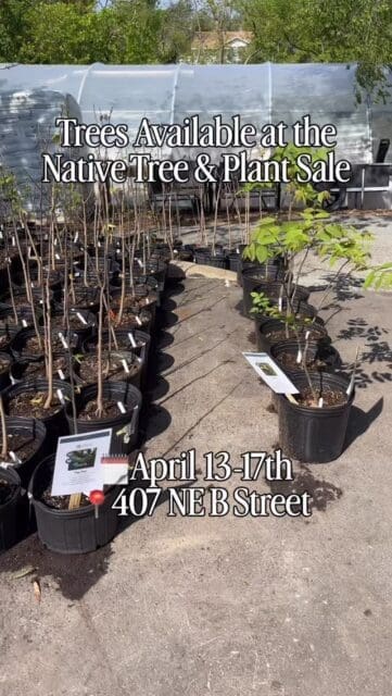We’ve got trees, and lots of them! This is just a small look at what’s coming to our Native Tree and Plant Sale. And there’s lots more where this came from! 

For a full list of trees and plants comment “trees” below! 👇