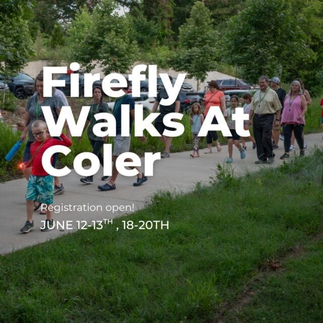 Registration is now open for our FREE Firefly Walks at Coler 🐞✨
Join the Northwest Arkansas Master Naturalists for a chance to experience Coler after dark and learn more about the glowing insects that call it home.
📅 June 12–13 & 18–20 | 7–9 PM
Comment FIREFLY and we’ll send registration info straight to your DMs.
