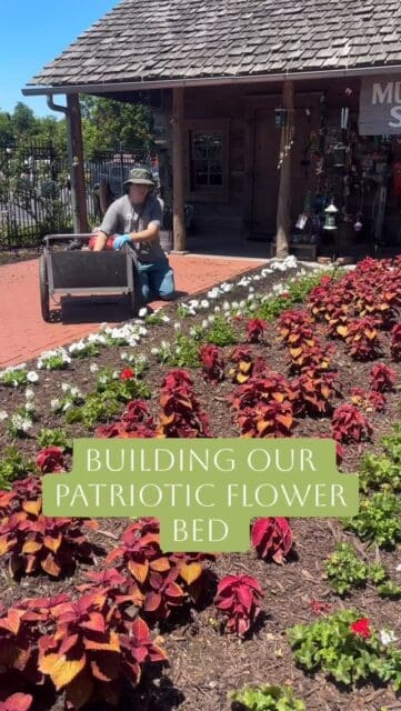 Our team has been hard at work mulching beds, planting flowers, and getting everything ready for the season ahead!
This year, keep an eye out for special red, white, and “blue” flower beds created in celebration of America’s 250th anniversary 🇺🇸