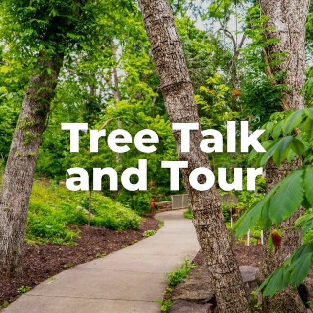 Join ISA Certified Arborist David McNiel for Tree Talk & Tour at Compton Gardens & Arboretum and explore the hidden world of trees, from roots to canopy. You’ll pick up practical tree care tips, learn how trees shape healthy ecosystems, and spend an evening seeing the landscape a little differently.

✨ Free event but please register in advance.

📅 June 24 | 5:30 PM

Presented by Ledee Foundation
Supported by Martin/Martin Consulting Engineers

If you want to learn more or register comment "tree" below and we will DM you the link!