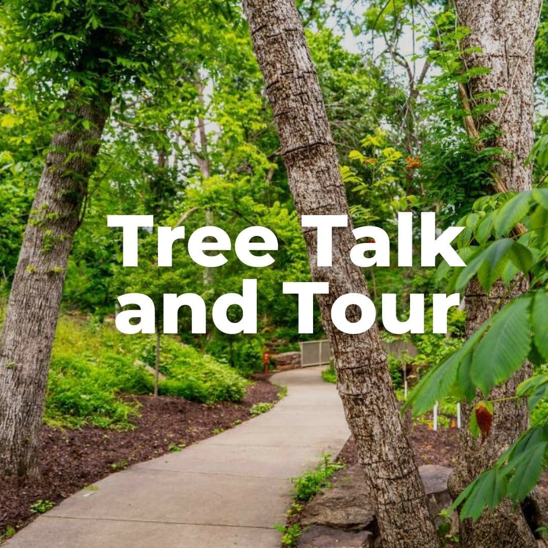 Join ISA Certified Arborist David McNiel for Tree Talk & Tour at Compton Gardens & Arboretum and explore the hidden world of trees, from roots to canopy. You’ll pick up practical tree care tips, learn how trees shape healthy ecosystems, and spend an evening seeing the landscape a little differently.

✨ Free event but please register in advance.

📅 June 24 | 5:30 PM

Presented by Ledee Foundation
Supported by Martin/Martin Consulting Engineers

If you want to learn more or register comment "tree" below and we will DM you the link!