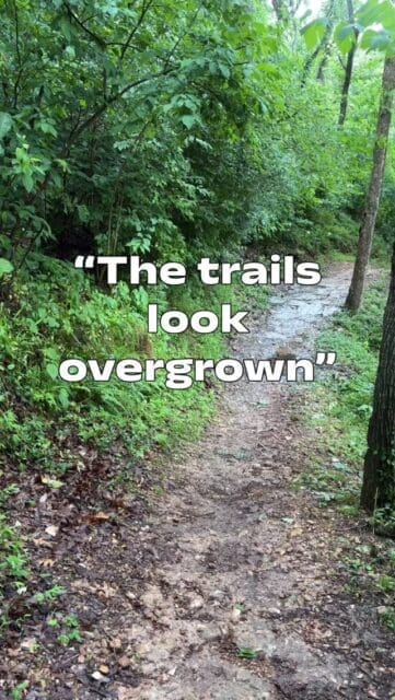 Less line trimming? Yep, on purpose!
Hear from our Site Manager about why Coler is taking a more intentional approach and what it means for the preserve.