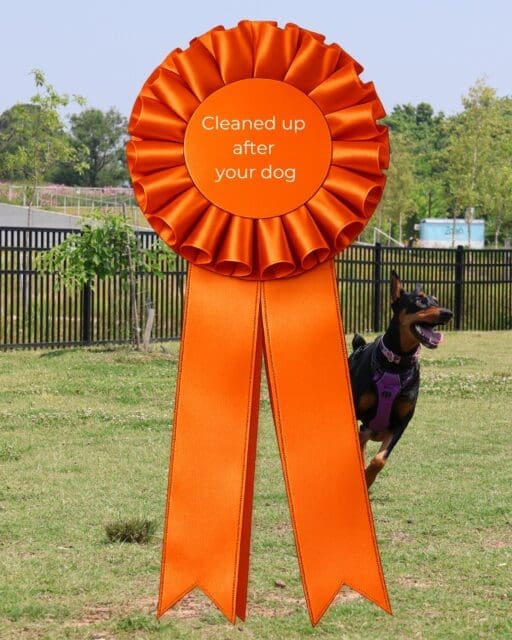 🏅 The First Annual Osage Park Awards are officially underway.

Count your ribbons and let us know… how’d you do? 👀