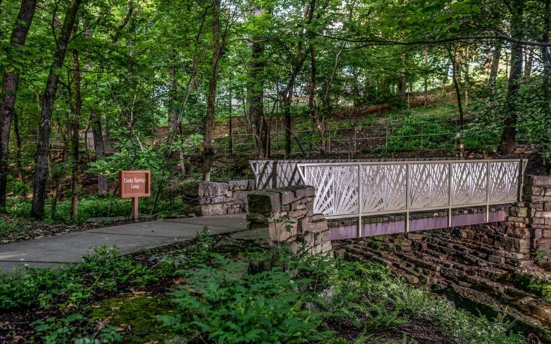 6 Ways Bentonville is Expanding Its Tree Canopy