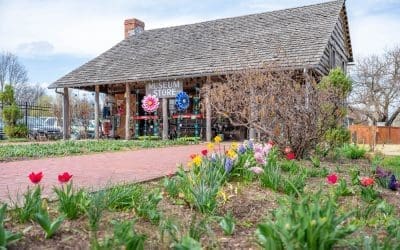 The History Behind the Andy Lynch Log Cabin