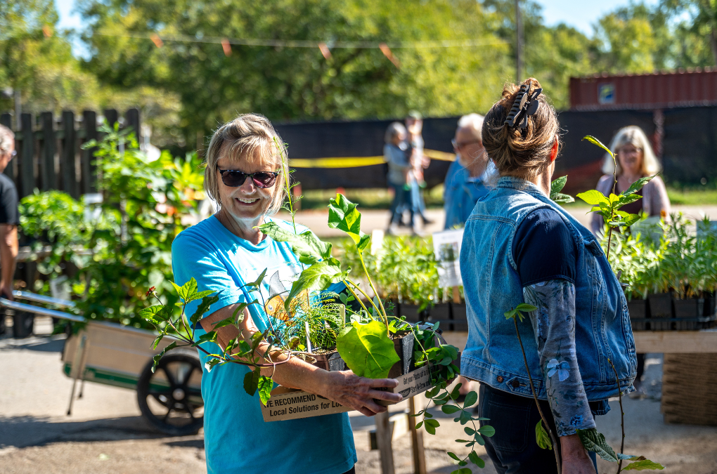 Dr. Compton Native Tree & Plant Sale: Fall