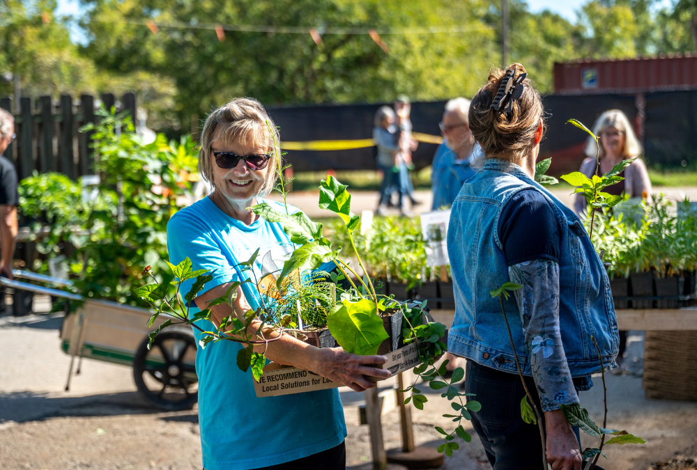 Dr. Compton Native Tree & Plant Sale: Spring