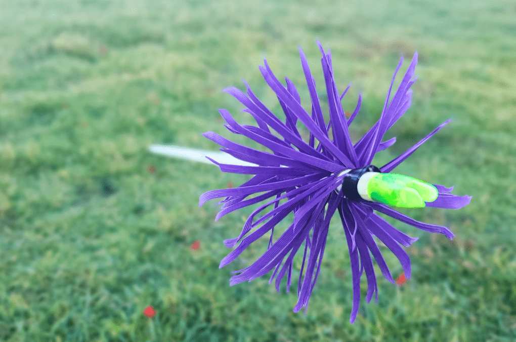 Summer Series: FluFlu Clout Archery