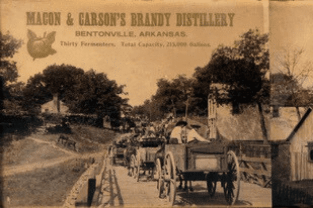 Vintage sepia-toned postcard showing Macon & Carson's Brandy Distillery in Bentonville, Arkansas, featuring horse-drawn wagons loaded with barrels on a dirt road, with distillery buildings and large trees in the background.
