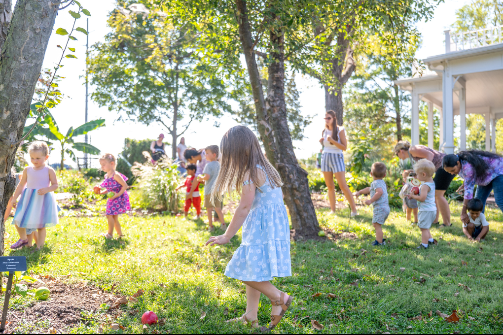 A young girl in a blue dress picks up a red apple from the ground in the sunny gardens at Peel Museum, while children and families explore the outdoor space with mature trees and white pavilion in the background.