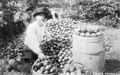 Land of the Big Red Apple: Apple Orchards & the Peel Legacy in NWA