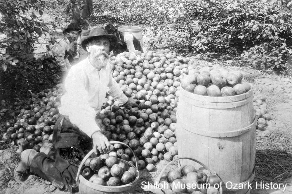 Land of the Big Red Apple: Apple Orchards & the Peel Legacy in NWA