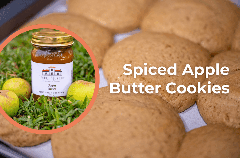 Spiced Apple Butter Cookies: A Cozy Autumn Treat with Victorian Charm