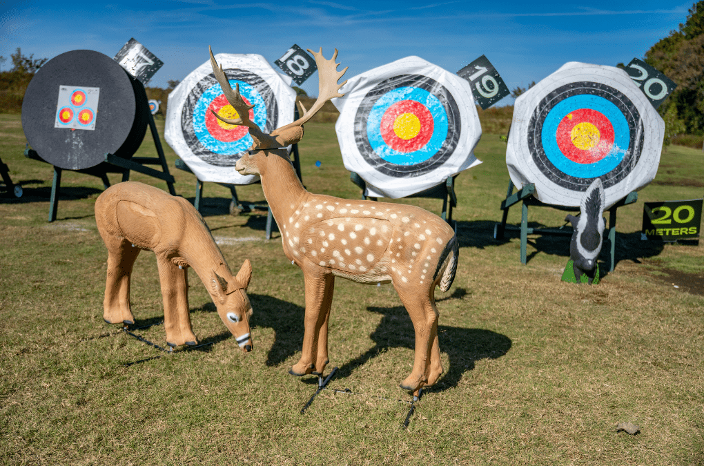 3D Archery Days