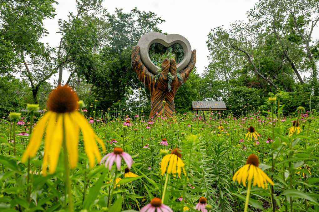 AmiliaWebsite Photos (1020 x 680 px) – 2026-03-12T085503.979