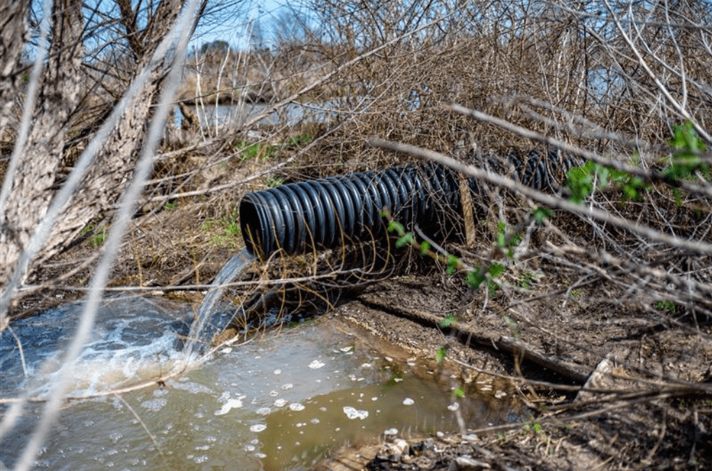 Beaver Deceivers: Working With Nature Instead of Against It