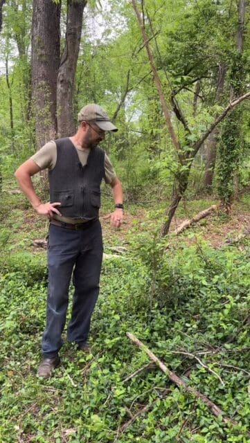 Invasive or native? 

It’s not always easy to tell what’s actually growing in your yard… and what might be taking over. 

We’re hosting an invasive management workshop at Osage Park to help you learn how to identify the difference and what to do next. 

Join us April 18th from 10-11:30AM (registration required) 

Comment INVASIVE and we’ll send you the details + registration link. 👇